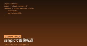 SSHの壁を越えろ！sshpicでリモート環境にスクリーンショットを直接送る方法