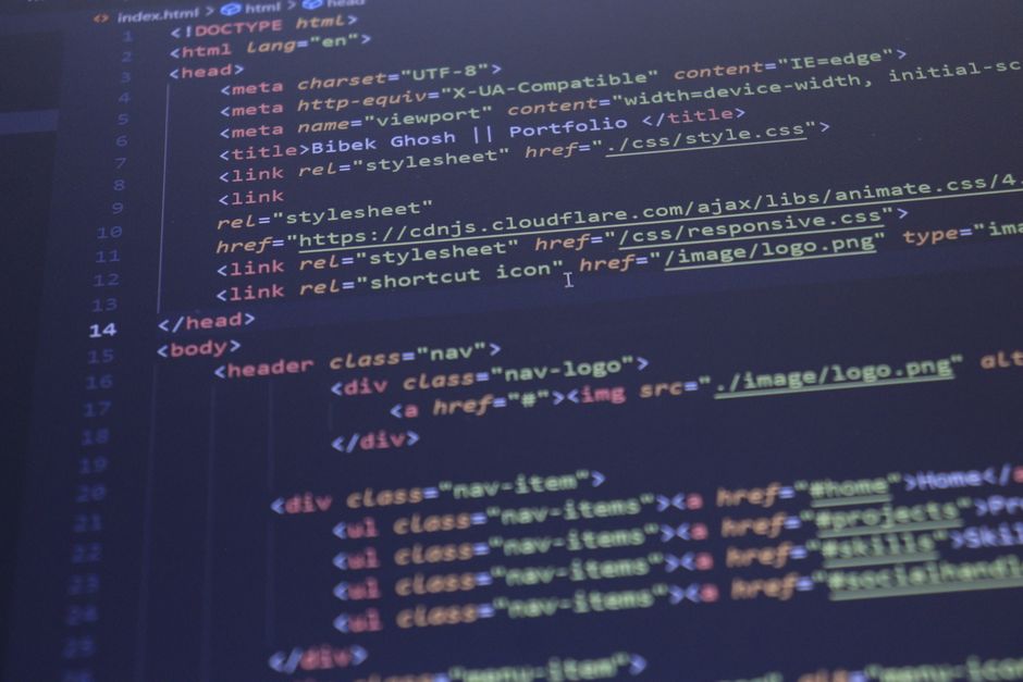 portfolio website developer